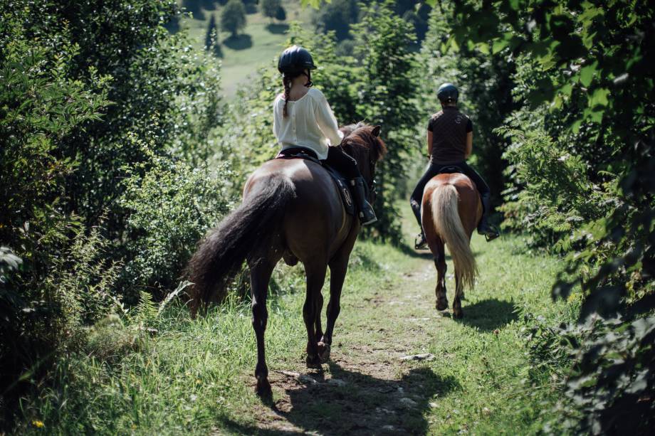 Reiten am Moar Gut