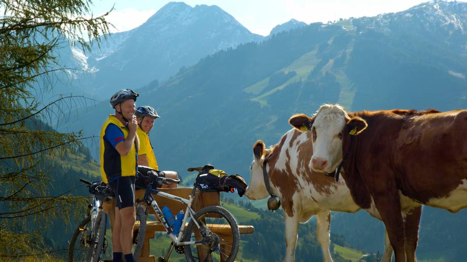Fahrradurlaub  – mit der Familie durch das Großarltal radeln Symbolfoto