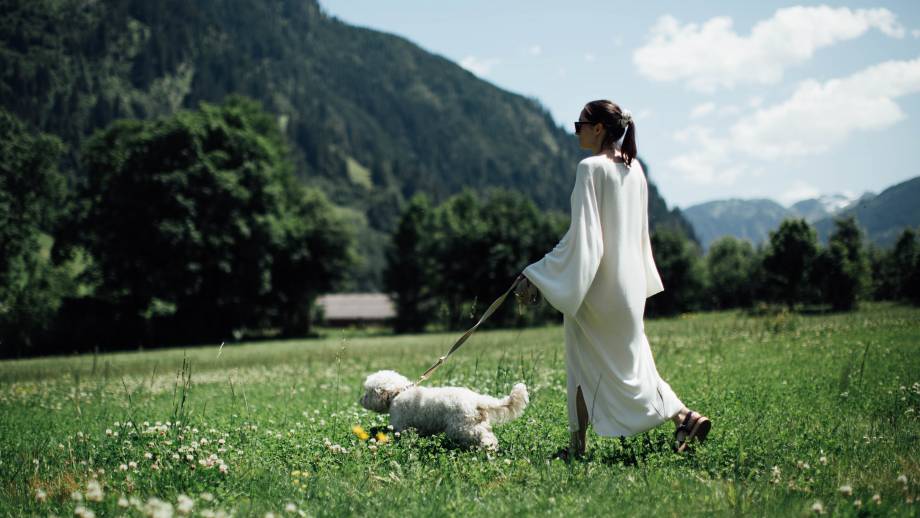 Vacation with a dog symbolic picture