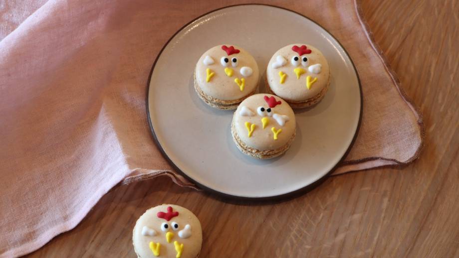 Gusti - Macarons Symbolfoto