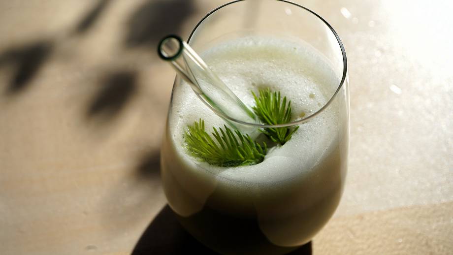 Wald Matcha Symbolfoto