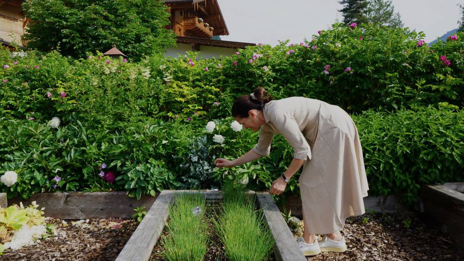 Im Kräutergarten mit Elisabeth Kendlbacher Symbolfoto