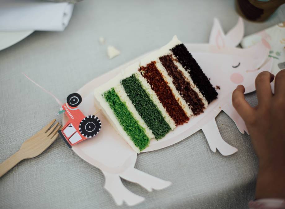 Kindergeburtstag am Moar Gut Symbolfoto