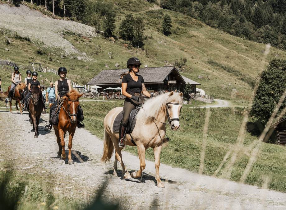 Sommer aktiv am Moar Gut Symbolfoto