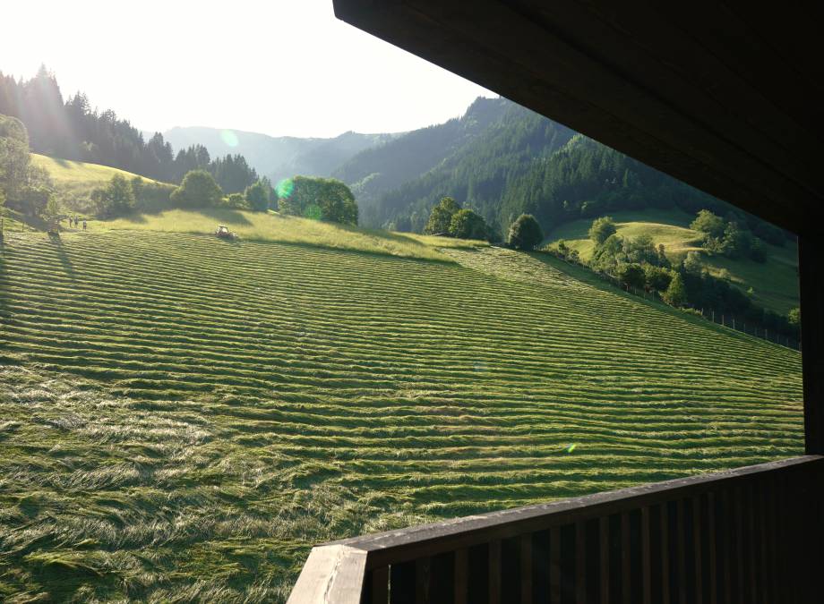 Heuernte am Moar Gut Symbolfoto