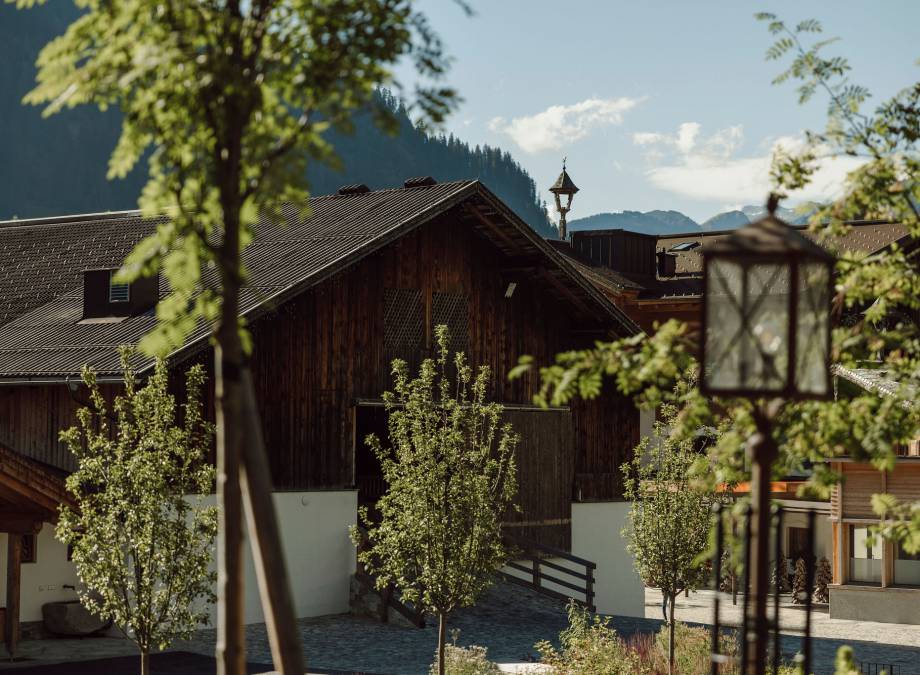 Bio Bauernhof Symbolfoto