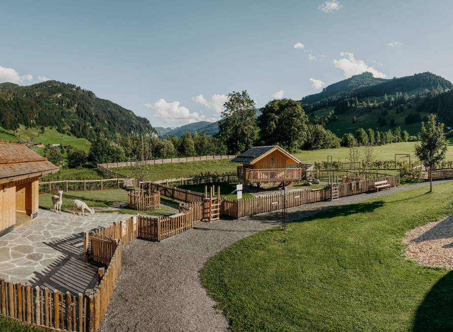 Bio Bauernhof Symbolfoto