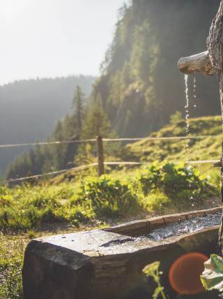 Bergquellwasser à la Moar Gut Symbolfoto