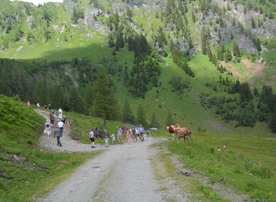 Familienwanderung zur Moar Gut Alm Symbolfoto