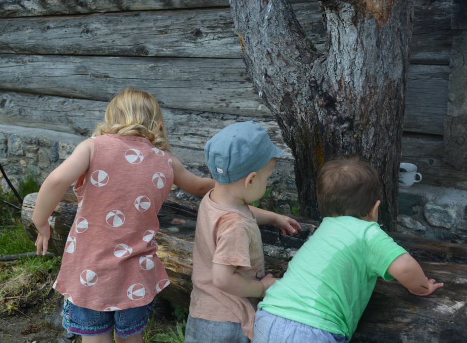 Familienwanderung zur Moar Gut Alm Symbolfoto