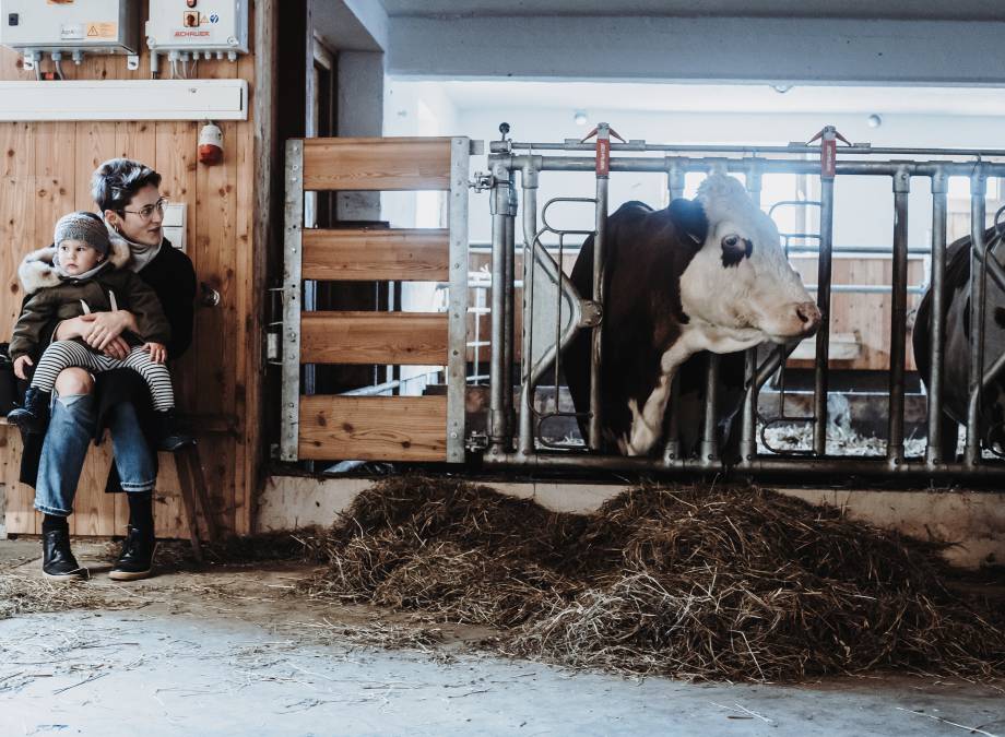 Wiederholte Auszeichnung als BIO BAUERNHOF Symbolfoto