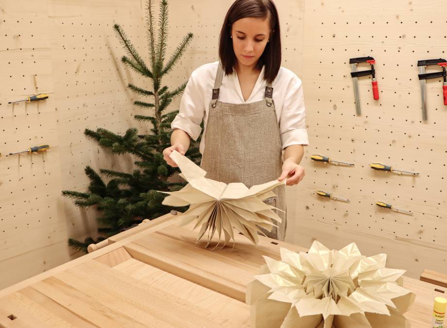 Zauberhafte Weihnachtssterne Symbolfoto