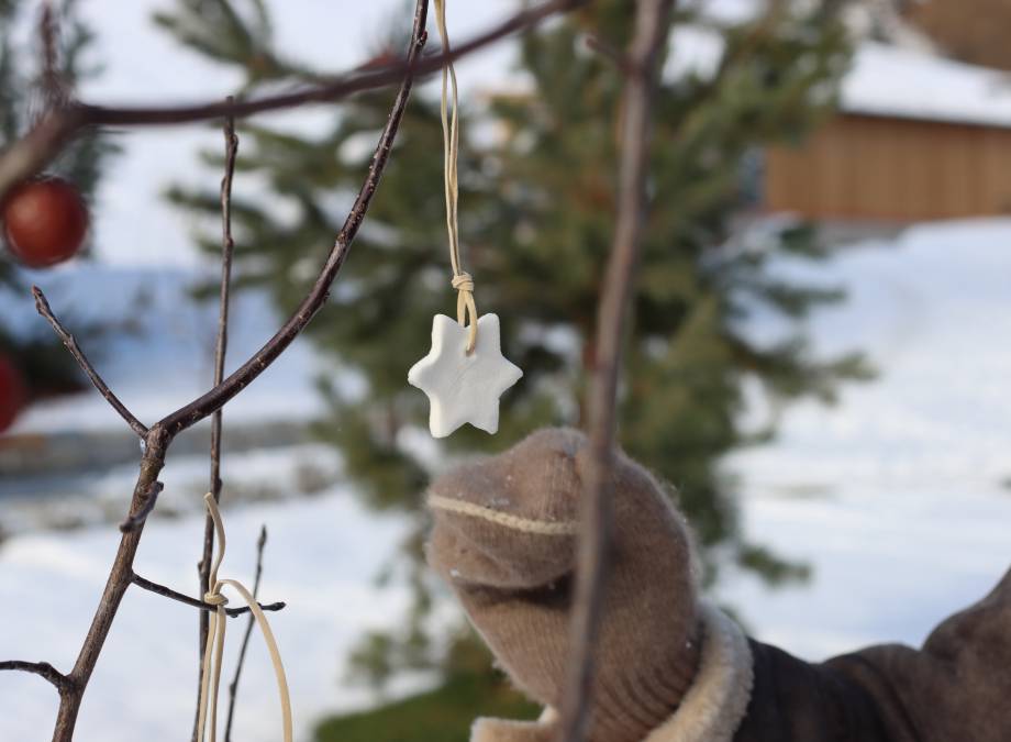 Märchenhafter Christbaumschmuck  Symbolfoto