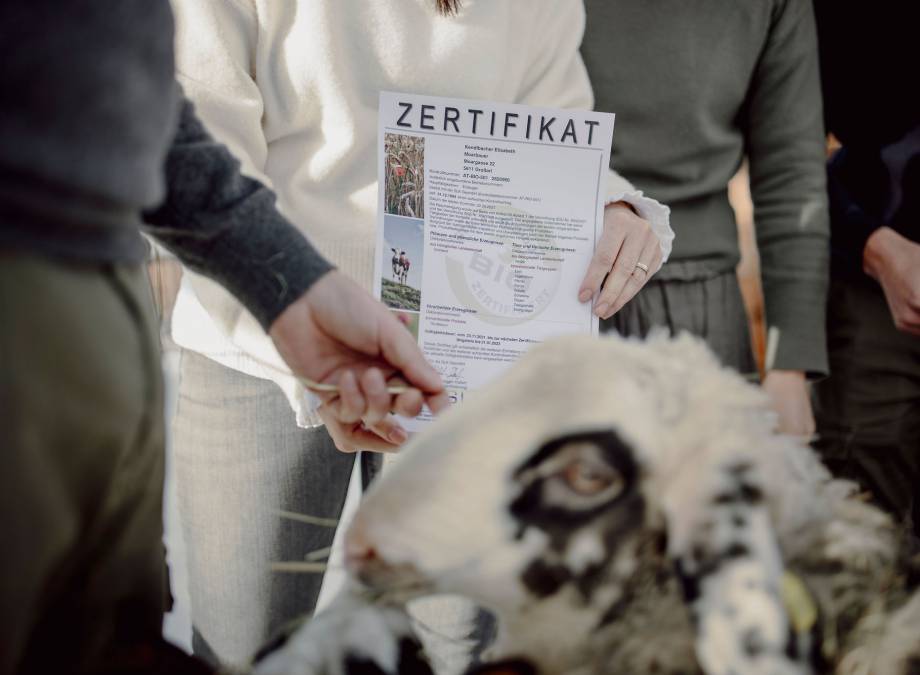 Wiederholte Auszeichnung als BIO BAUERNHOF Symbolfoto