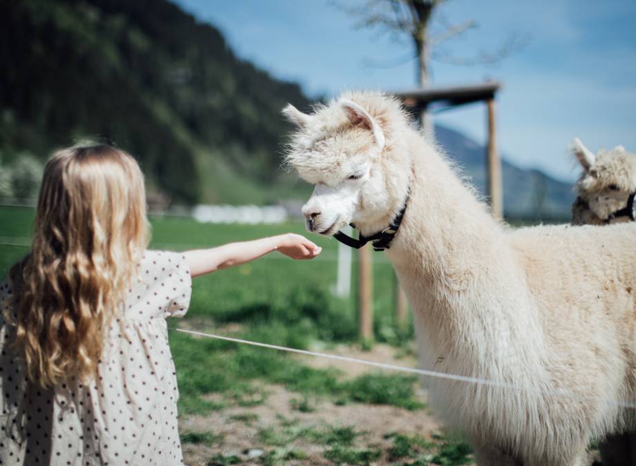 MOAR tierliebe! Symbolfoto