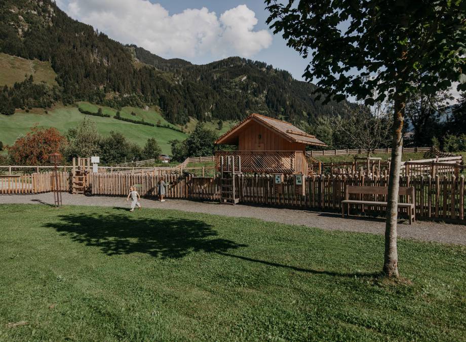 MOAR NATURwochen  Symbolfoto