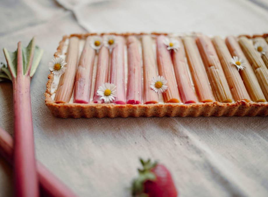 Rhabarber Joghurt Tarte Symbolfoto
