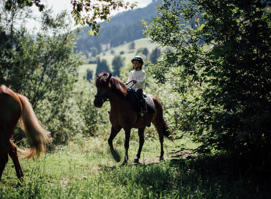 Riding happiness at Moar Gut symbolic picture