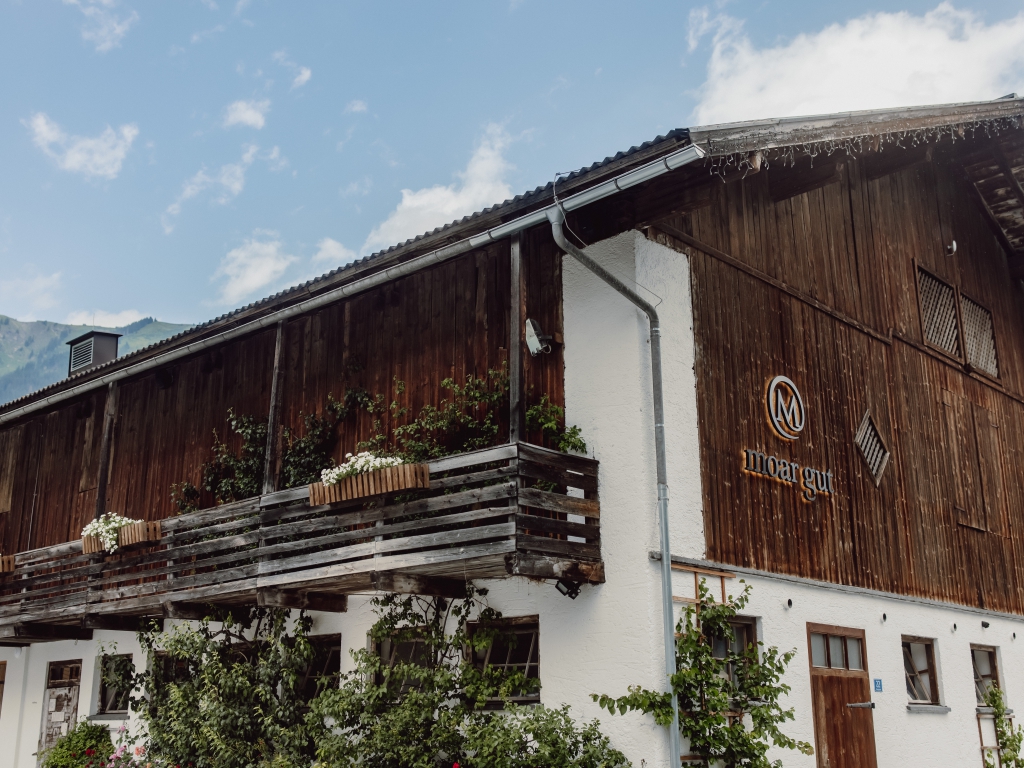Vegane Feigentarte | moar gut