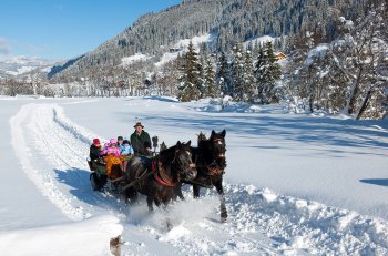 Kutschfahrt durch das Großarltal im Winter
