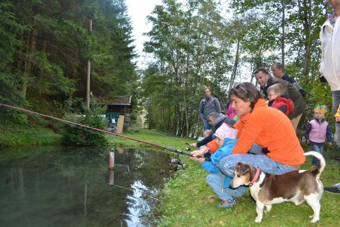 Forellen fischen